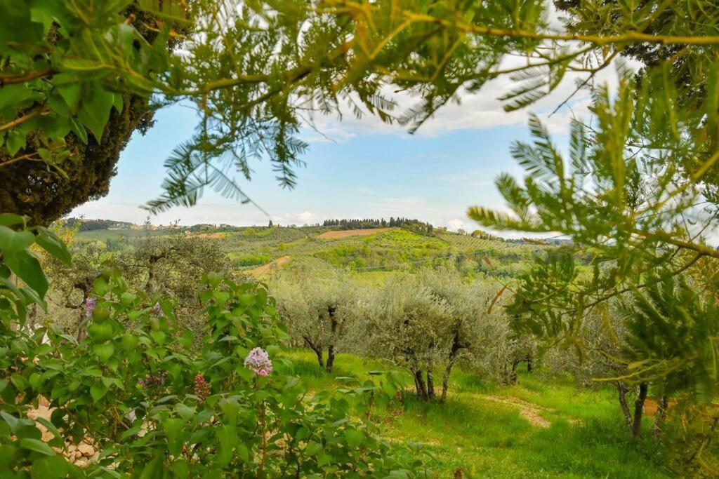 Appartamento Con Vista Panoramica In Chianti Сан-Донніно Екстер'єр фото